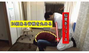 仙骨療法と腰椎リリース