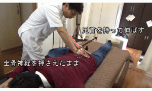 坐骨神経を持ったまま足首を持て股関節を伸ばしていく