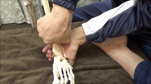 下部脛腓関節の開きを調整